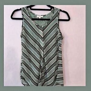 NWOT. EM sheer blouse. Size Small. 